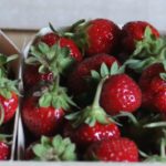 fraise florian